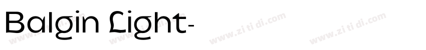 Balgin Light字体转换